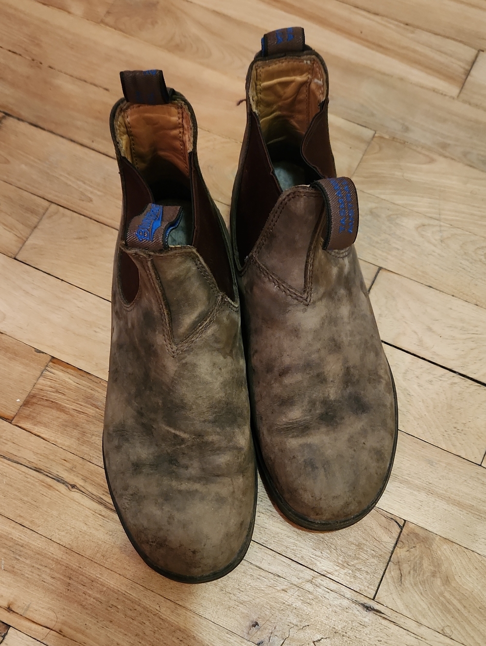 Blundstone Brown Chelsea Ankle Boots
